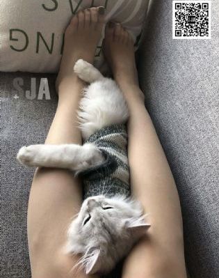 战地狙击手电影免费播放