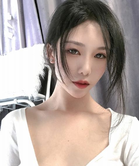 细狗网页端登录入口免费版