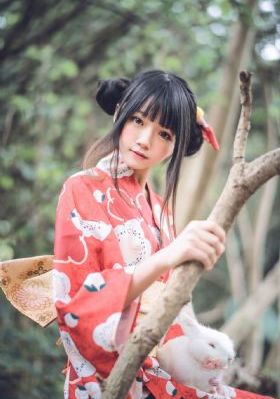所有动漫在线观看免费完整版