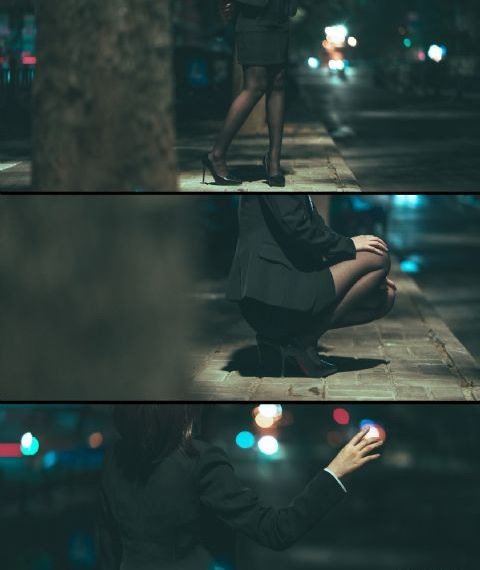 布鲁伊第三季中文版免费观看