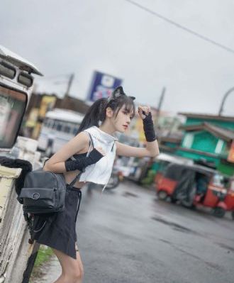 《熊出没之猎鹰熊岛》